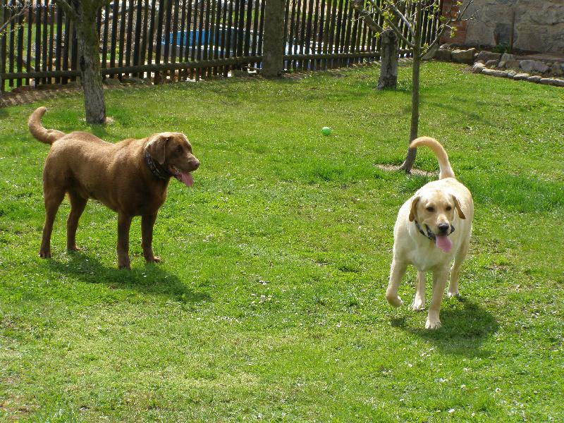 Foto: br�kov�-kdo bude prvn�