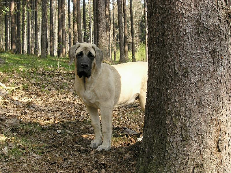 Foto: Bassira 5 m�s�c�