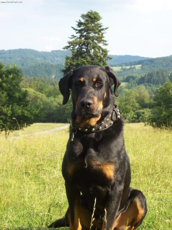 Foto: Atos na chate v Tajove