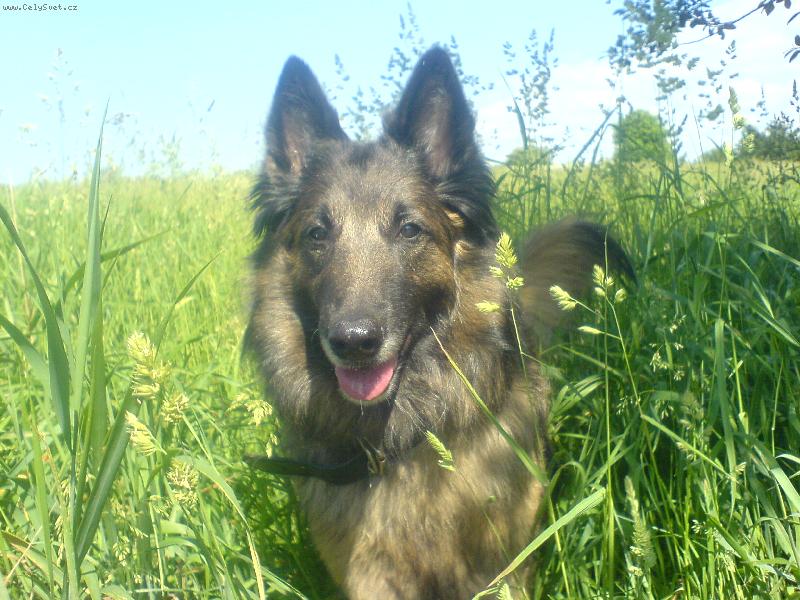 Foto: Moje A�ka-Moje milovan� a stra�n� vesel� beru�ka...