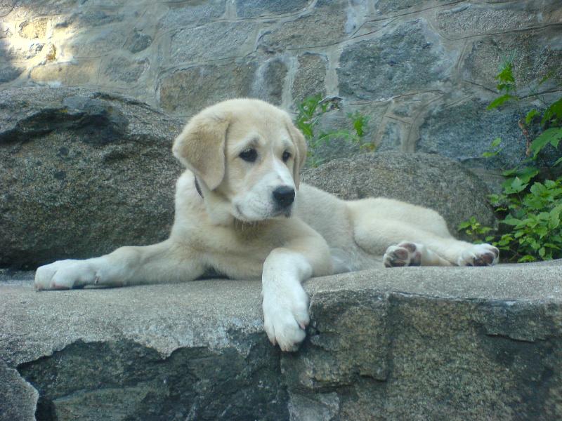 Foto: sheila 3 m�s�ce-sheila