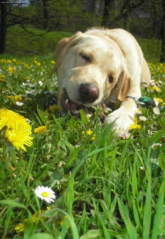 Foto: �u�l�n� to je moje...