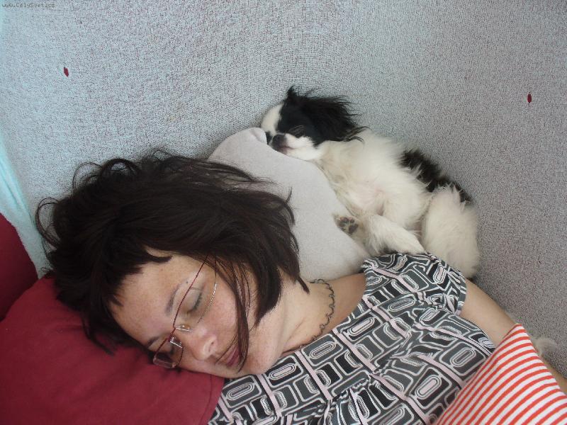 Foto: �IKO-" To se n�m to spink� "