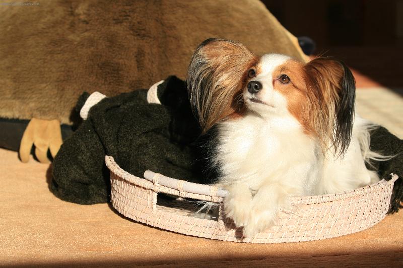 Foto: April Maria Sirrah