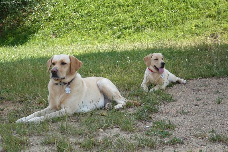 Foto: B�ra a Ketty-B�ra a jeji mim�o Ketty,odpo�inek na v�bjehu..