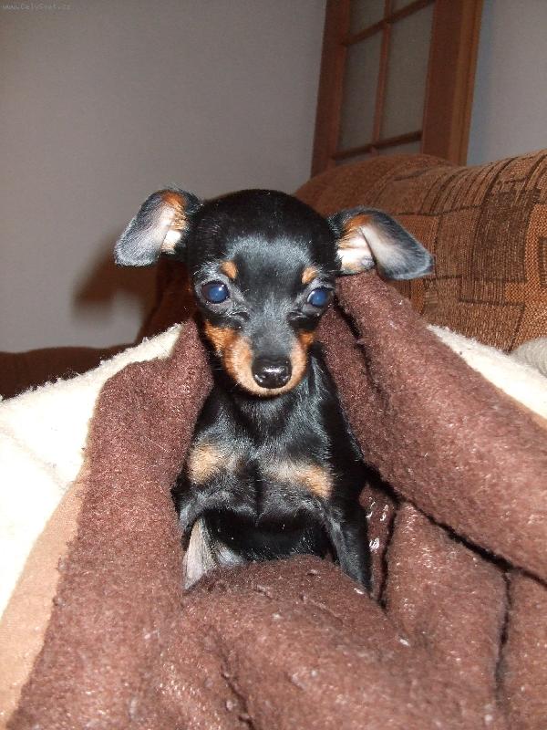 Foto: Meggy-nejl�pe mi je teplou�ku