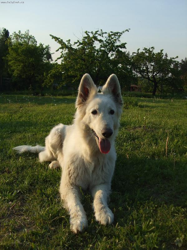 Foto: Baru�ka-v�dycky kr�sn�