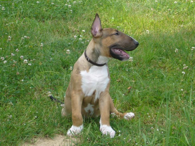 Foto: J� m�m mot�lka na b��ku, kde je ten skute�n�?