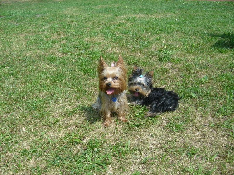 Foto: Mia & Monty z D���na