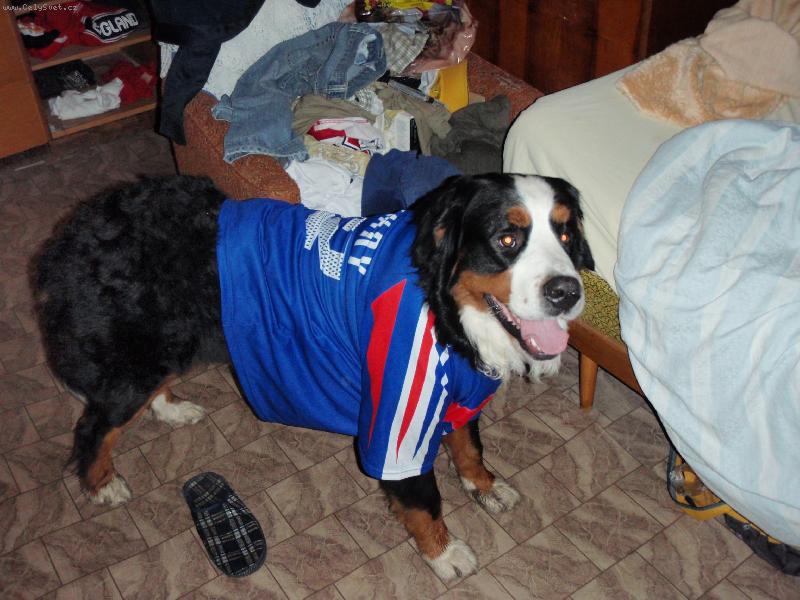 Foto: Bady fotbalista-Hraju dob�e hraju r�d