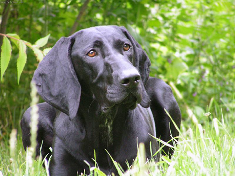 Foto: NKO-Ambra z Dasnick� kotliny