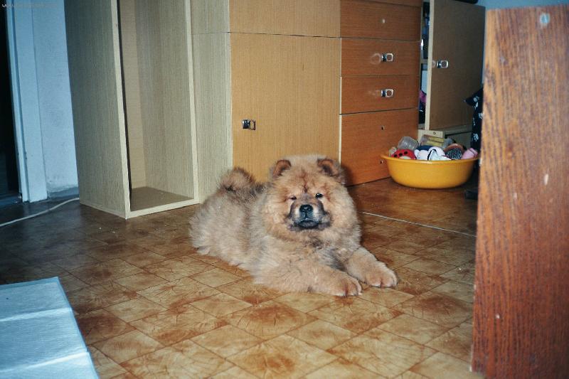 Foto: 6.5.2008 N� Fil�pek(1den doma)-6.5.2008 N� Fil�pek(1den doma)