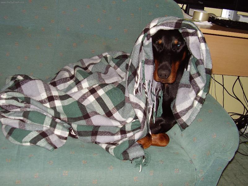 Foto: Po tr�ninku-Velk� vy�erp�n� :)