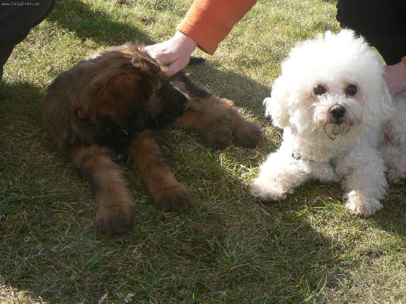 Foto: princezna Ella-mazl��ek