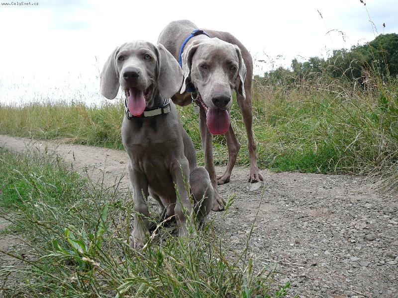 Foto: Faust s Csantem (Enzem) 2-velkej malej :o)))