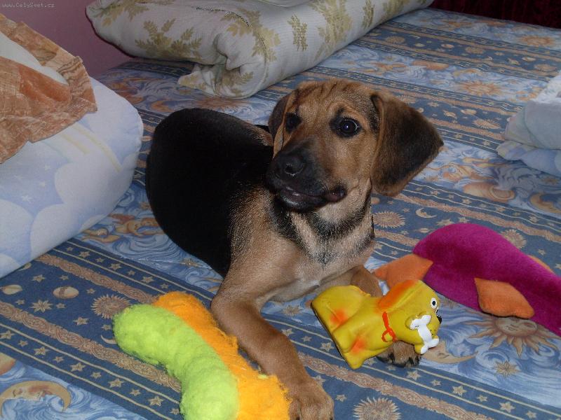 Foto: tak to je na�e zlati�ko-muj mil��ek si hraje