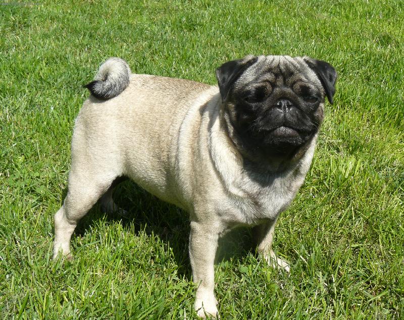 Foto: Fiona Plums�Jewel-Fiona