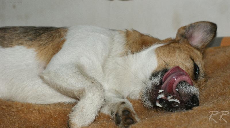 Foto: Bab� po ve�e�i..-to jsem se ale nadl�bla!!!