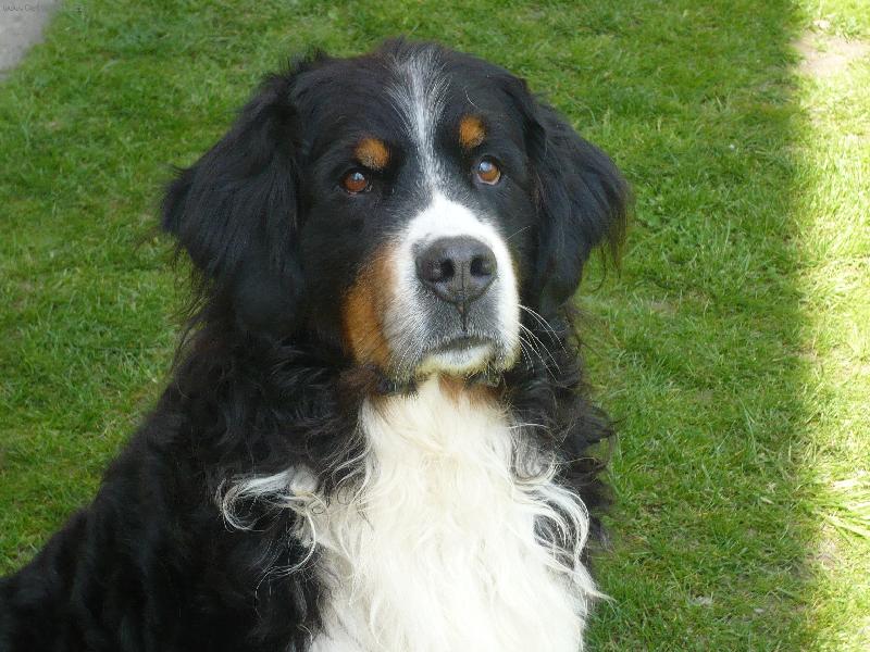 Foto: Dyk Alboja-My, Majest�t....:-DDD