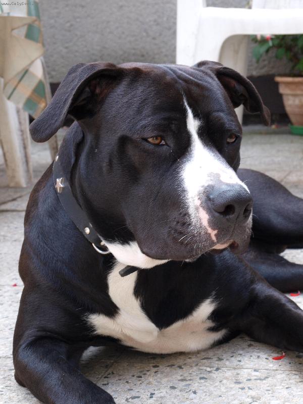 Foto: Sebastian-....