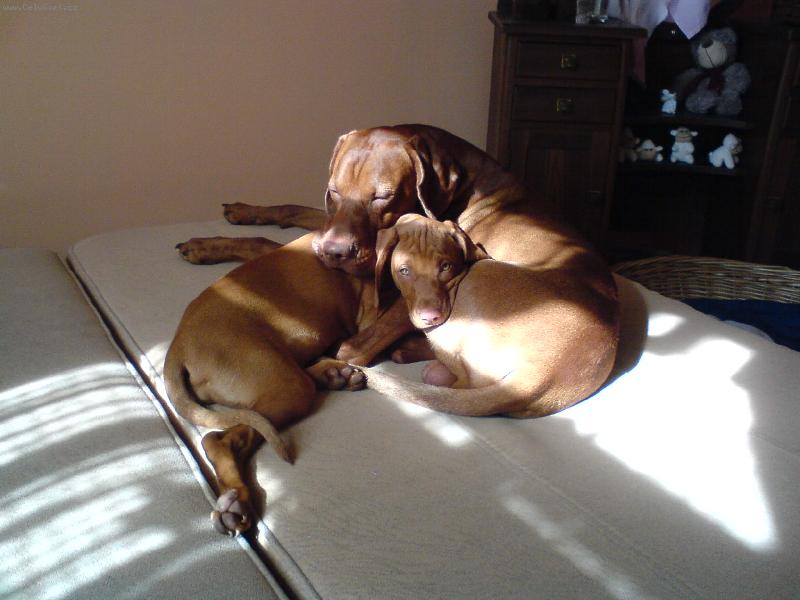 Foto: Paddy z D���na s Eimy-Kone�n� m�m sest�i�ku