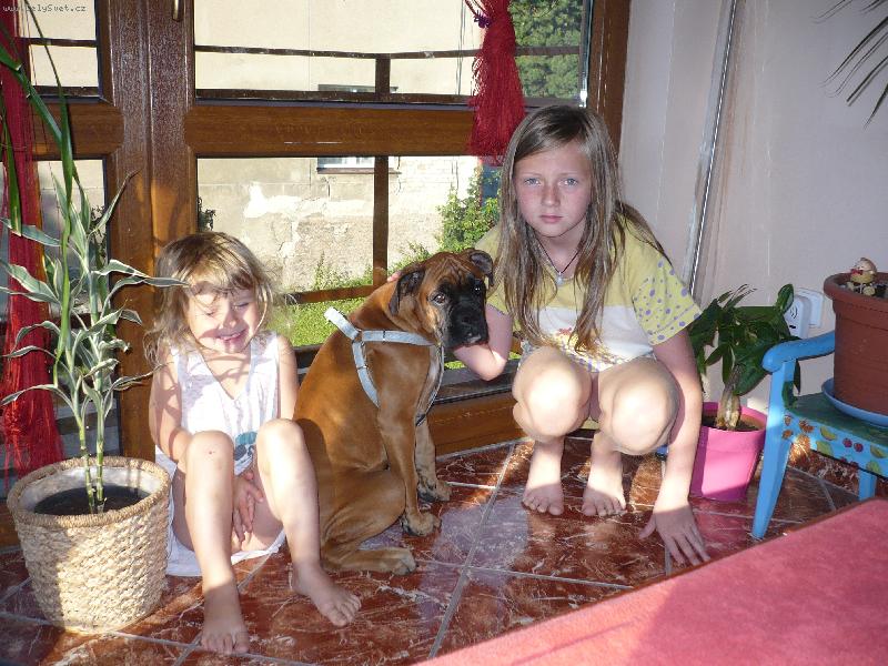 Foto: Erm�nek-s d�ti�kama v zimn� zahrad�