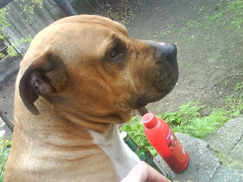 Foto: tak kdy uz bude to maso opeceny-jerynek