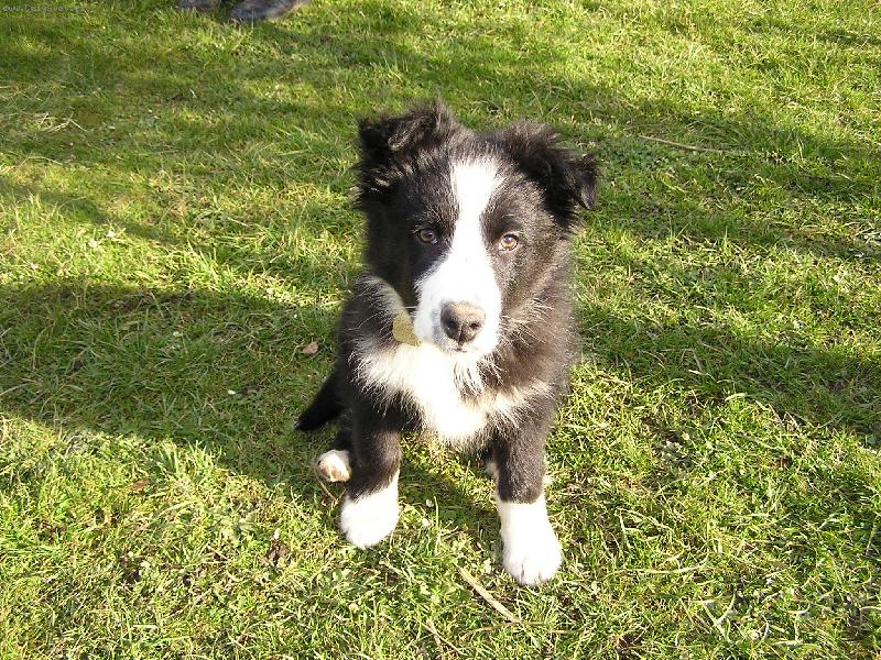 Foto: Bendzi-3 m�s�ce