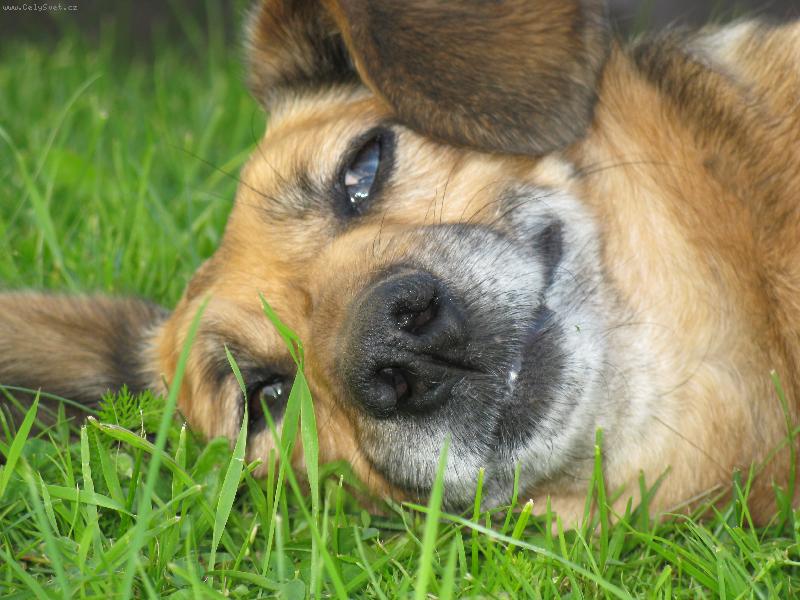 Foto: M�te se tak� tak fajn jako j�?