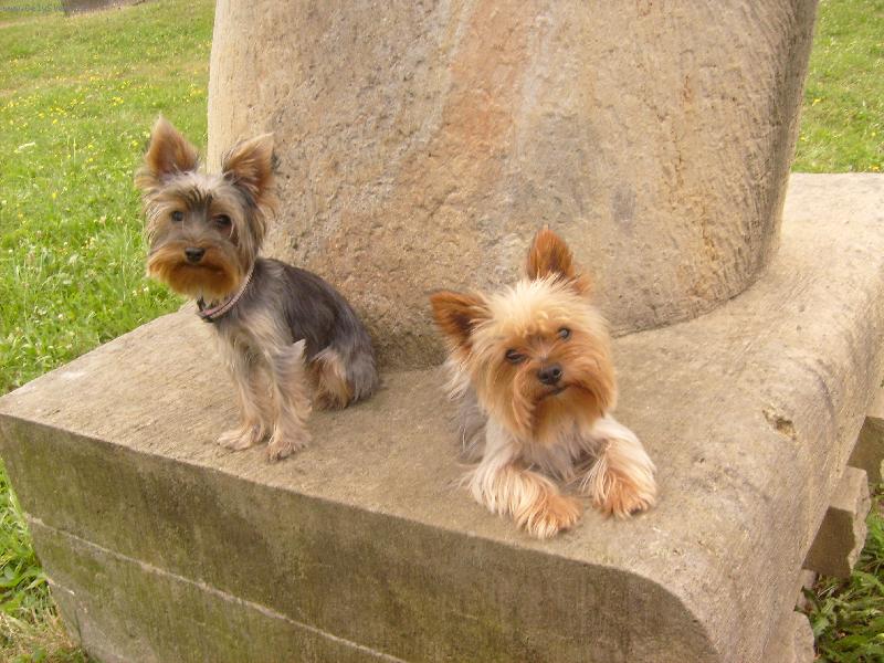 Foto: Monty a Ka�enka-na v�let�