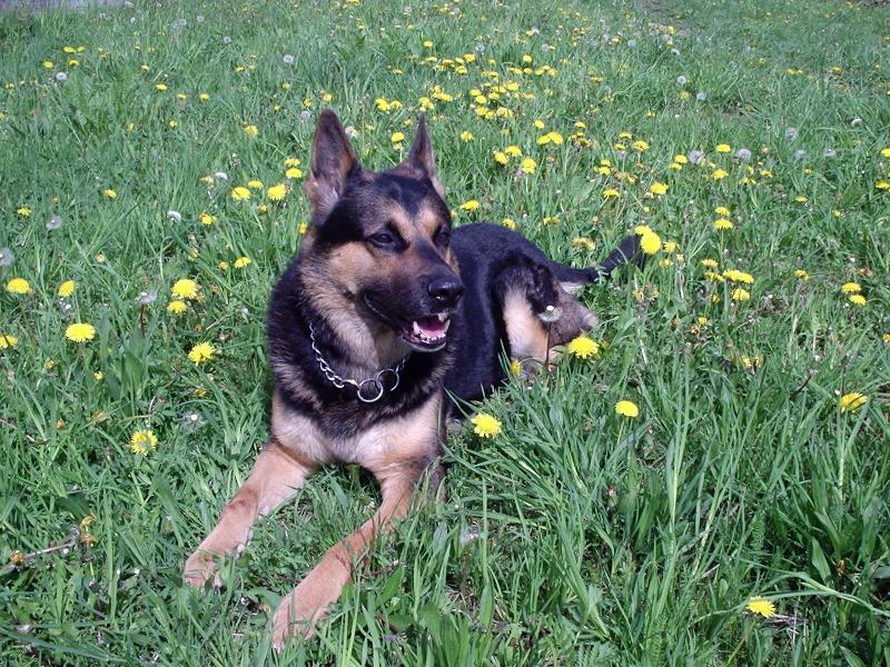 Foto: Rok��ek-odpo�inek