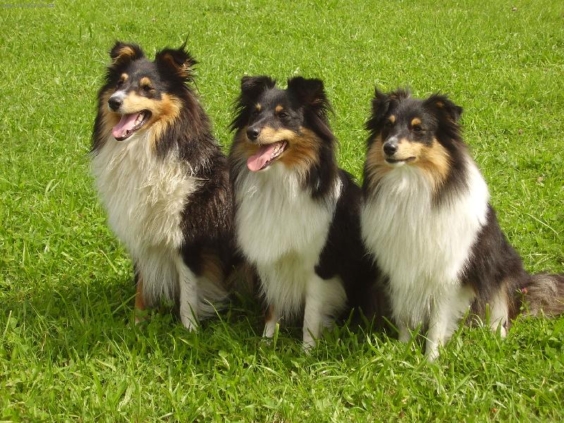 Foto: na�e 3 slun��ka-na�e 3 slun��ka