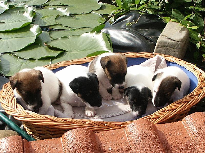 Foto: tak tohle jsem my:-)-3 t�dny na sv�te...