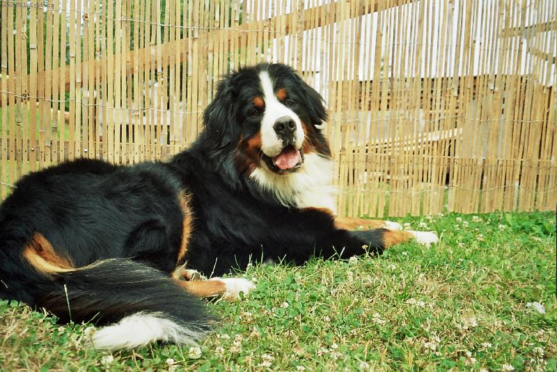 Foto: Ben-Zase m� fot�?!