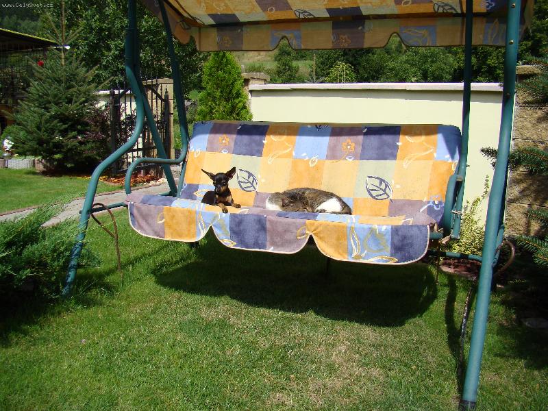 Foto: zoznamka-odpo�inok s koc�rom