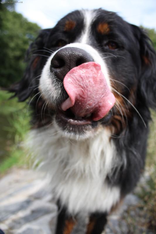 Foto: m�j malinkej Mazlik-m�j malinkej Mazlik na jezu xD