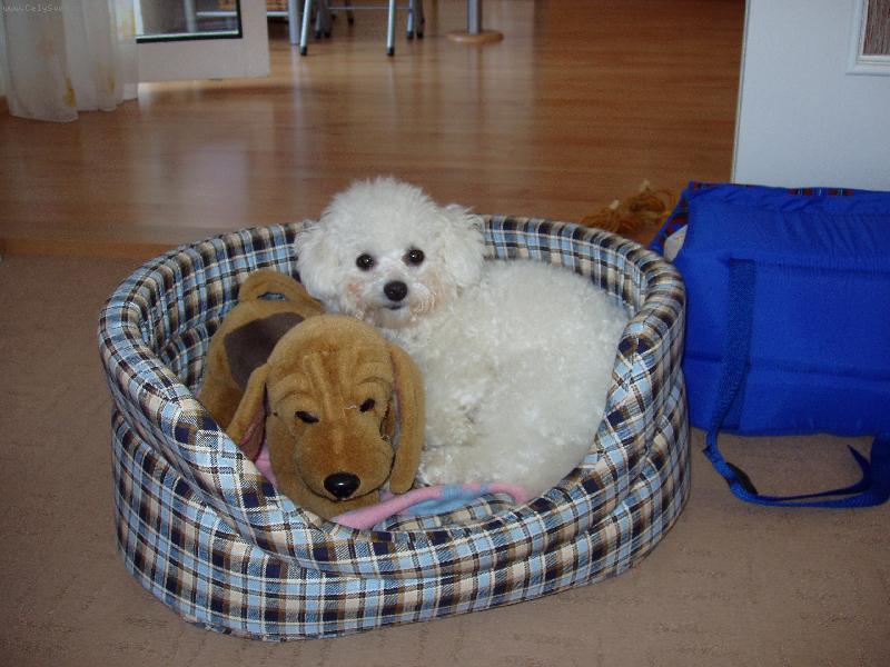 Foto: Arlenka - 10 m�s�c�-p��prava na cestu na pr�zdniny