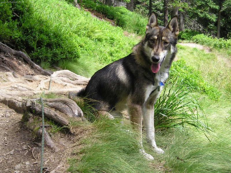 Foto: Charon od katova m�stku-Charon od katova m�stku