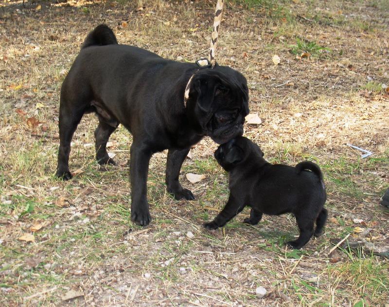 Foto: posledn� pusa-Baron: lou�en�