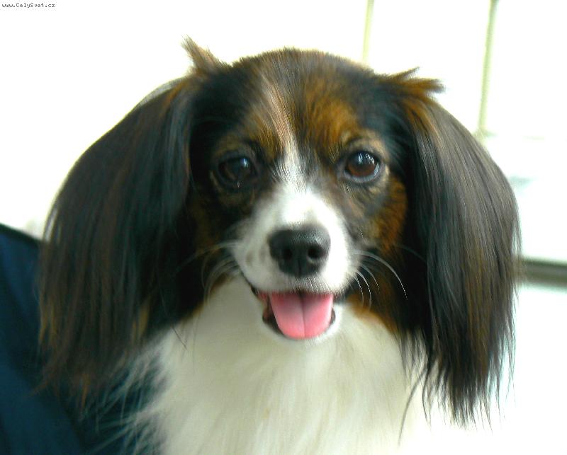 Foto: Aiko Arthur Bell