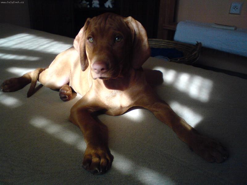 Foto: Tak jsem mezi v�mi-Eimy z D���na