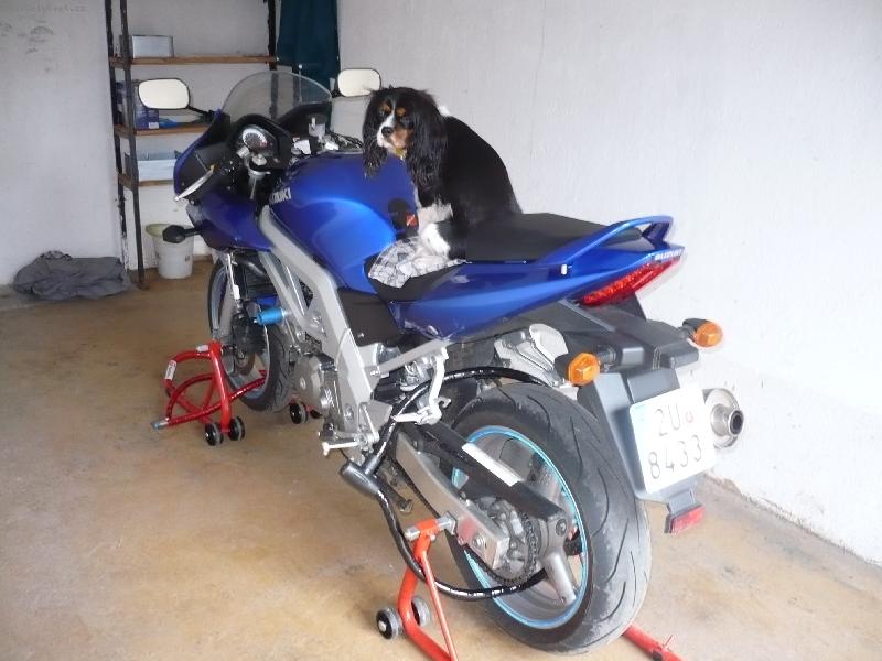 Foto: Pani�ka m� posadila na motorku