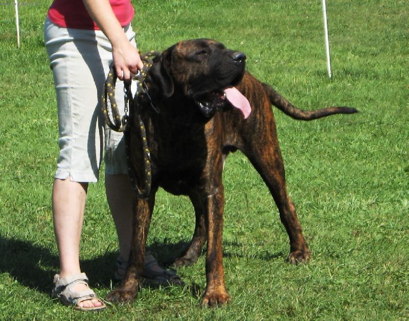 Foto: Burgos Bascoretta