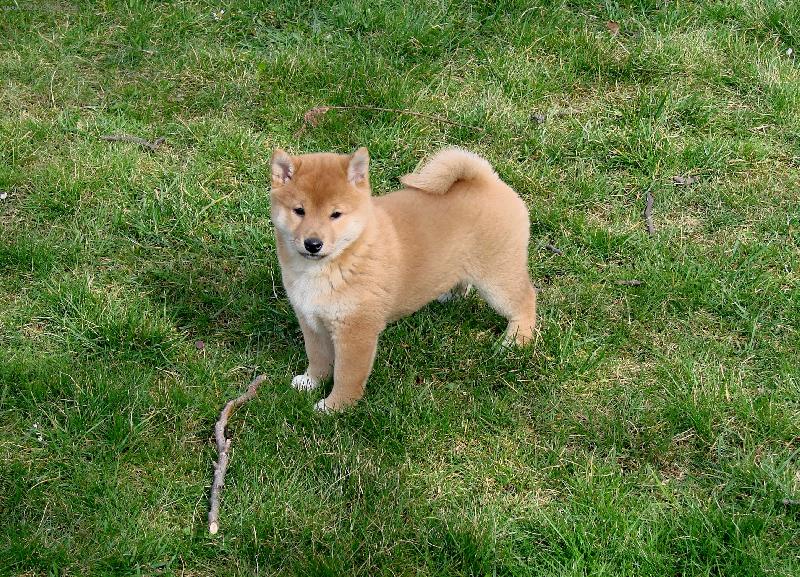 Foto: KIMIKO-KIMIKO z Volensk�ho dvora