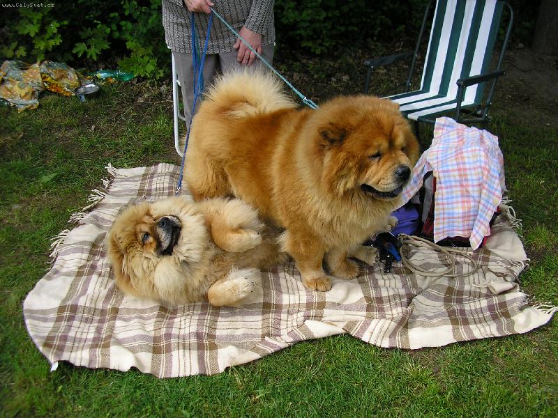 Foto: M�a s Nelinkou-..j� to vzd�v�m...