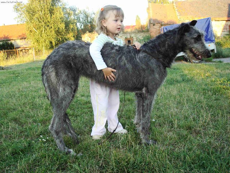 Foto: AZARIA Irsias-Azaria(6m�s�c�) a Eli�ka 3roky