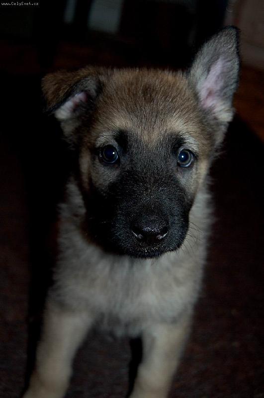 Foto: malej Zohan-jeho prvn� focen�