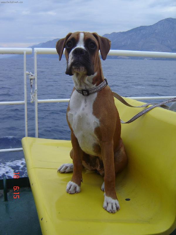 Foto: Roxy-Kapit�nka na trajektu...:-)