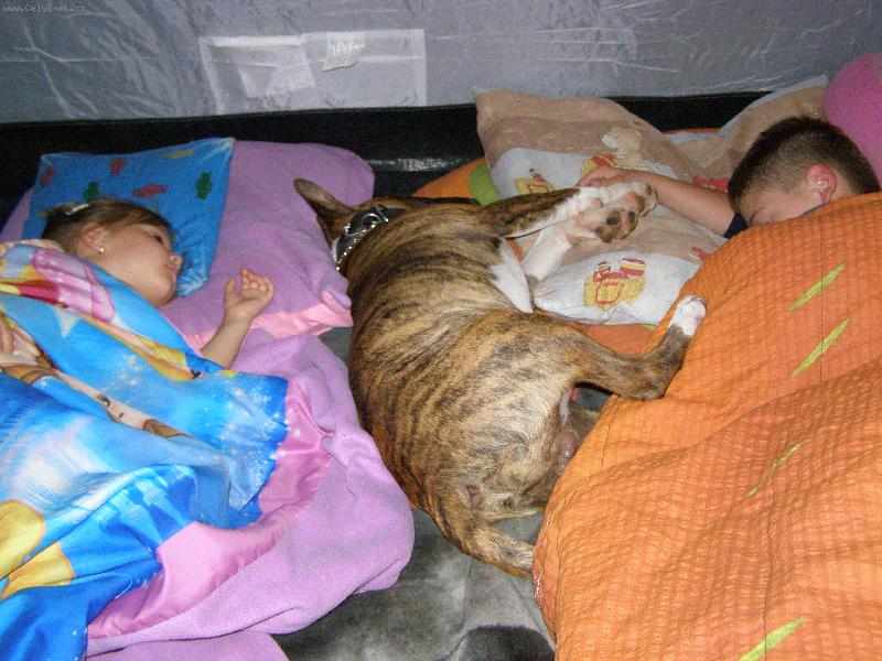 Foto: TO SE N�M TO HEZKY SPINK�