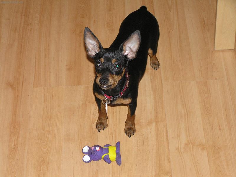 Foto: Kuk-Nelinka-Milaaacek